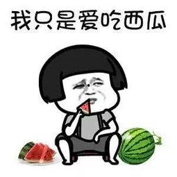 娱乐圈吃瓜的梗叫什么名字  第1张